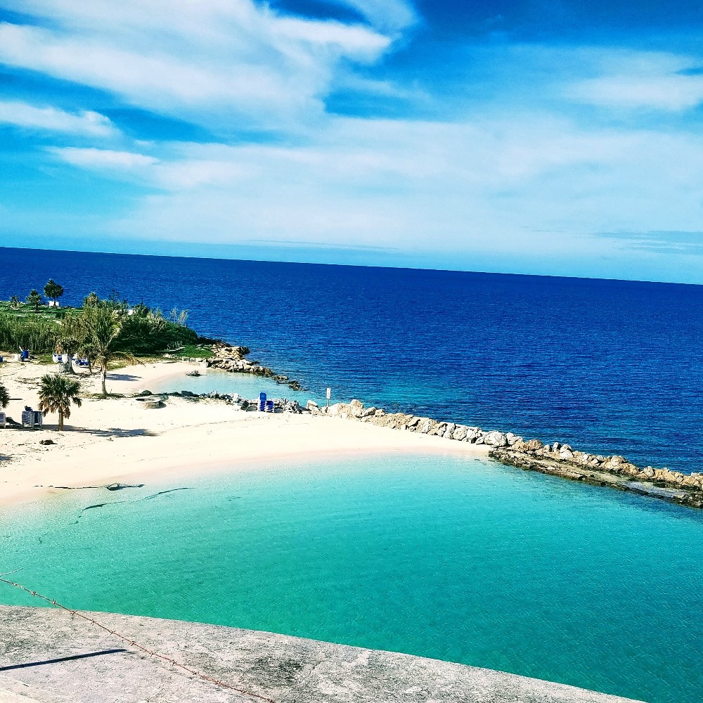 Meet your Posher, Robyn